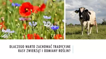 zapowiedź - Prezentacja - Ochrona różnorodności biologicznej - strona 3