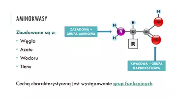 zapowiedź - Prezentacja -Aminokwasy - strona 1