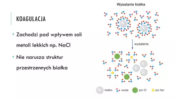 zapowiedź - Prezentacja - Właściwości i wykrywanie białek - strona 1