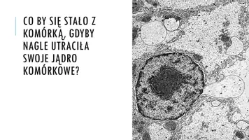 zapowiedź - Prezentacja - Jądro komórkowe - strona 1