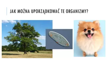 zapowiedź - Prezentacja - Klasyfikowanie organizmów - strona 1