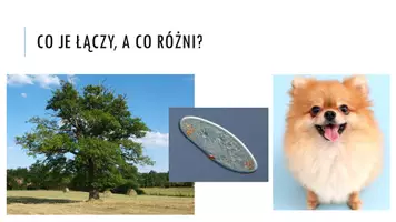 zapowiedź - Prezentacja - Klasyfikowanie organizmów - strona 2