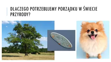 zapowiedź - Prezentacja - Klasyfikowanie organizmów - strona 3