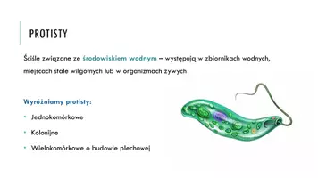 zapowiedź - Prezentacja - Protisty - proste org - strona 2