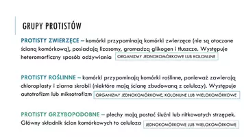 zapowiedź - Prezentacja - Protisty - proste org - strona 3