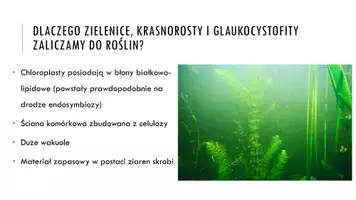 zapowiedź - Prezentacja - Rośliny pierwotnie wodne - strona 3