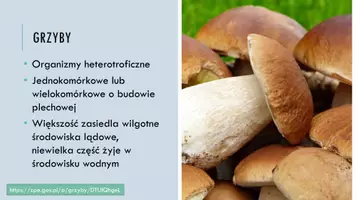 zapowiedź - Prezentacja - Grzyby i porosty - strona 2
