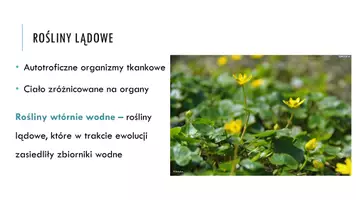 zapowiedź - Prezentacja - Cechy roślin lądowych - strona 2
