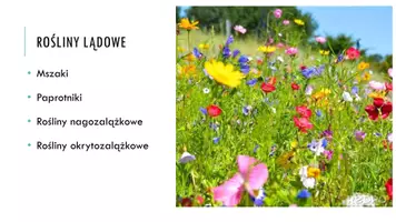 zapowiedź - Prezentacja - Cechy roślin lądowych - strona 3