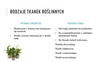 zapowiedź - Prezentacja - Tkanki roślinne - strona 1