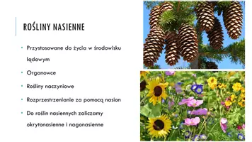 zapowiedź - Prezentacja - Rośliny nasienne - strona 2