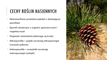 zapowiedź - Prezentacja - Rośliny nasienne - strona 3