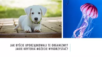 zapowiedź - Prezentacja - Kryteria klasyfikacji zwierząt - strona 1