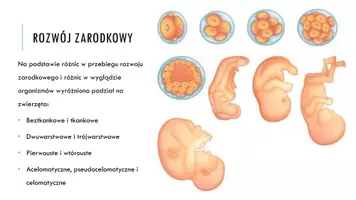 zapowiedź - Prezentacja - Kryteria klasyfikacji zwierząt - strona 3