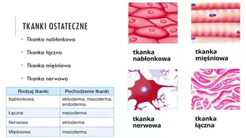 zapowiedź - Prezentacja - Tkanki zwierzęce - strona 2