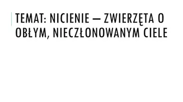 zapowiedź - Prezentacja - Nicienie - obwoluta