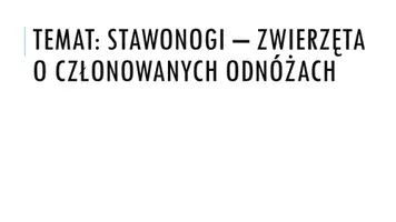 zapowiedź - Prezentacja - Stawonogi – zwierzęta o członowanych odnóżach - obwoluta