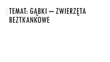 zapowiedź - Prezentacja - Gąbki - zwierzęta beztkankowe - obwoluta