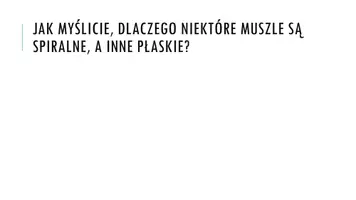 zapowiedź - Prezentacja - Mięczaki - strona 1