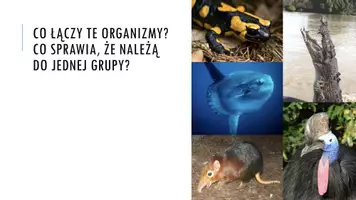 zapowiedź - Prezentacja - Cechy charakterystyczne kręgowców - strona 1