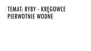 zapowiedź - Prezentacja - Ryby - żuchwowce pierwotnie wodne - obwoluta