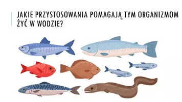 zapowiedź - Prezentacja - Ryby - żuchwowce pierwotnie wodne - strona 1