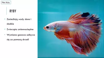 zapowiedź - Prezentacja - Ryby - żuchwowce pierwotnie wodne - strona 2