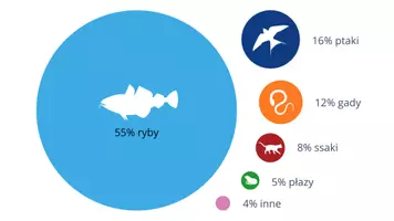 zapowiedź - Prezentacja - Ryby - żuchwowce pierwotnie wodne - strona 3