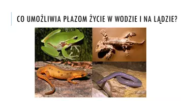 zapowiedź - Prezentacja - Płazy - kręgowce dwuśrodowiskowe - strona 1