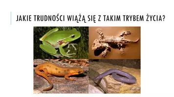 zapowiedź - Prezentacja - Płazy - kręgowce dwuśrodowiskowe - strona 2