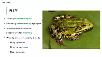 zapowiedź - Prezentacja - Płazy - kręgowce dwuśrodowiskowe - strona 3