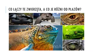 zapowiedź - Prezentacja - Gady - pierwsze owodniowce - strona 1