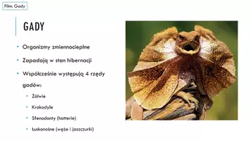 zapowiedź - Prezentacja - Gady - pierwsze owodniowce - strona 2