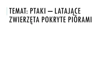 zapowiedź - Prezentacja - Ptaki - latające zwierzęta pokryte piórami - obwoluta