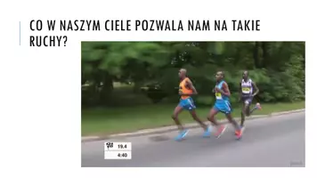 zapowiedź - Prezentacja - Elementy szkieletu - strona 1