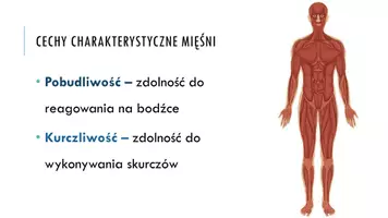 zapowiedź - Prezentacja - Budowa i funkcjonowanie układu mięśniowego - strona 3