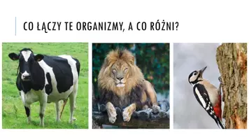 zapowiedź - Prezentacja - Odżywianie się zwierząt - strona 1