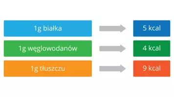 zapowiedź - Prezentacja - Organiczne składniki pokarmowe - strona 2