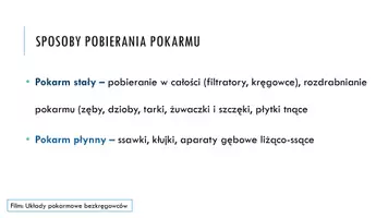 zapowiedź - Prezentacja - Odżywianie się zwierząt - strona 3