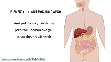 zapowiedź - Prezentacja - Budowa i funkcje układu pokarmowego - strona 2