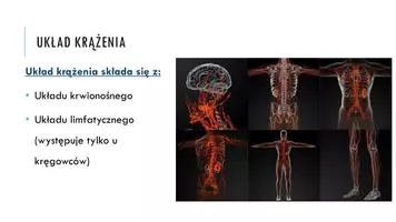 zapowiedź - Prezentacja - Układ krążenia u zwierząt - strona 3