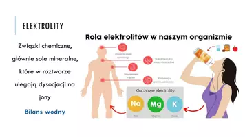 zapowiedź - Prezentacja - Osmoregulacja i wydalanie u zwierząt - strona 3