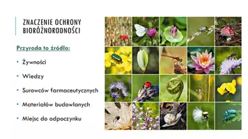 zapowiedź - Prezentacja - Ochrona różnorodności biologicznej - strona 2