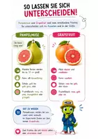 Vorschau - Bildkarten - Sind Grapefruit und Pampelmuse dasselbe? - Seite 3