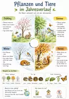 Vorschau - Arbeitsblätter - Lernposter + Arbeitsblatt "Pflanzen und Tiere im Jahresverlauf" + interaktive Lösung & MP3 + Mindmap - Deckblatt