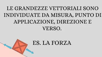 anteprima - Serie di lezioni - Le forze: misure ed effetti - presentazione - Pagina 3