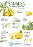 Vorschau - Arbeitsblätter - Lernposter + Arbeitsblätter zum Thema "Bananen" + Lösung & MP3 + Mindmap + Infografik - Deckblatt