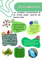 Vista previa - Fichas informativas / Documentos de lectura - Revista educativa 'Los anfibios' - página 2