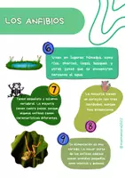 Vista previa - Fichas informativas / Documentos de lectura - Revista educativa 'Los anfibios' - página 3