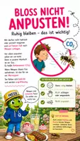 Vorschau - Bildkarten - Wespen am Tisch – So verhalten wir uns richtig - Seite 1